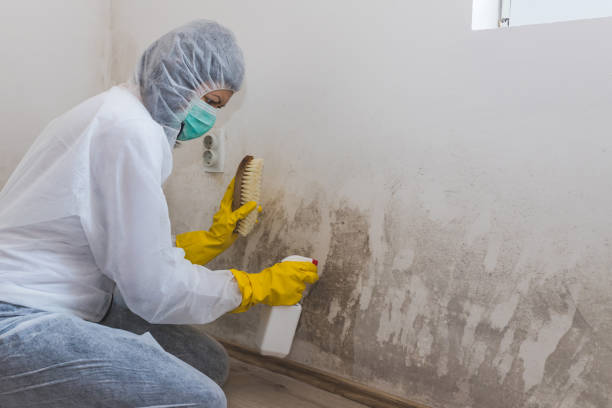 Best Mold Testing  in Leoti, KS