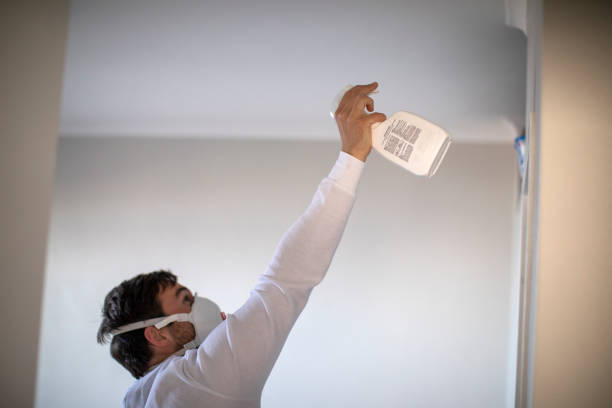 Mold Testing and Removal in Leoti, KS
