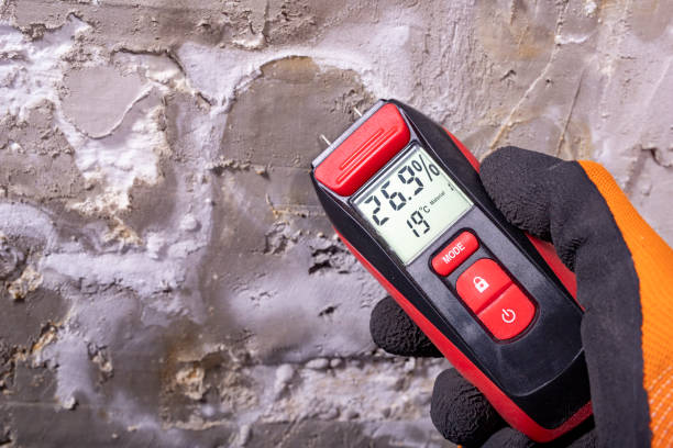 Best Mold Damage Repair  in Leoti, KS