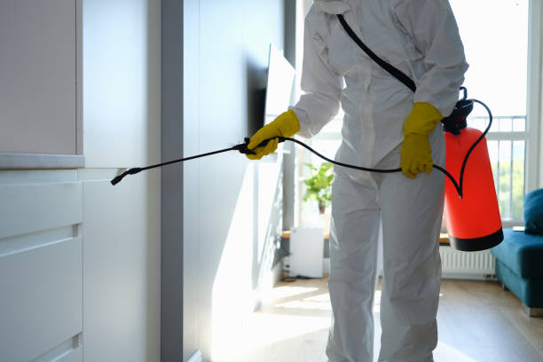 Best Attic Mold Removal  in Leoti, KS