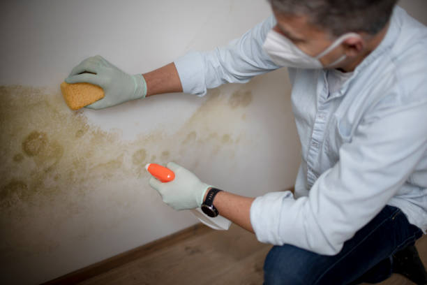 Best Crawl Space Mold Removal  in Leoti, KS