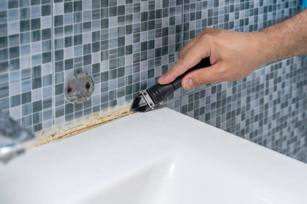 Best Emergency Mold Removal  in Leoti, KS
