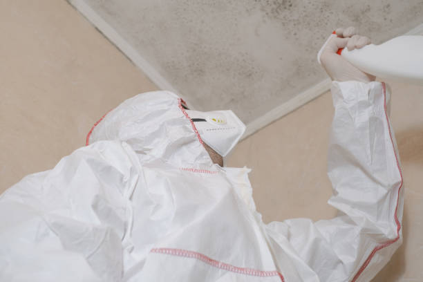 Best Affordable Mold Removal  in Leoti, KS