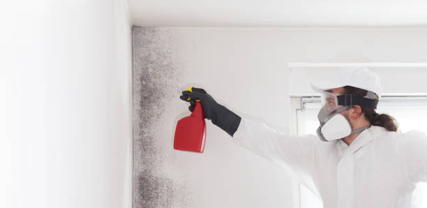 Best Water Damage Restoration  in Leoti, KS